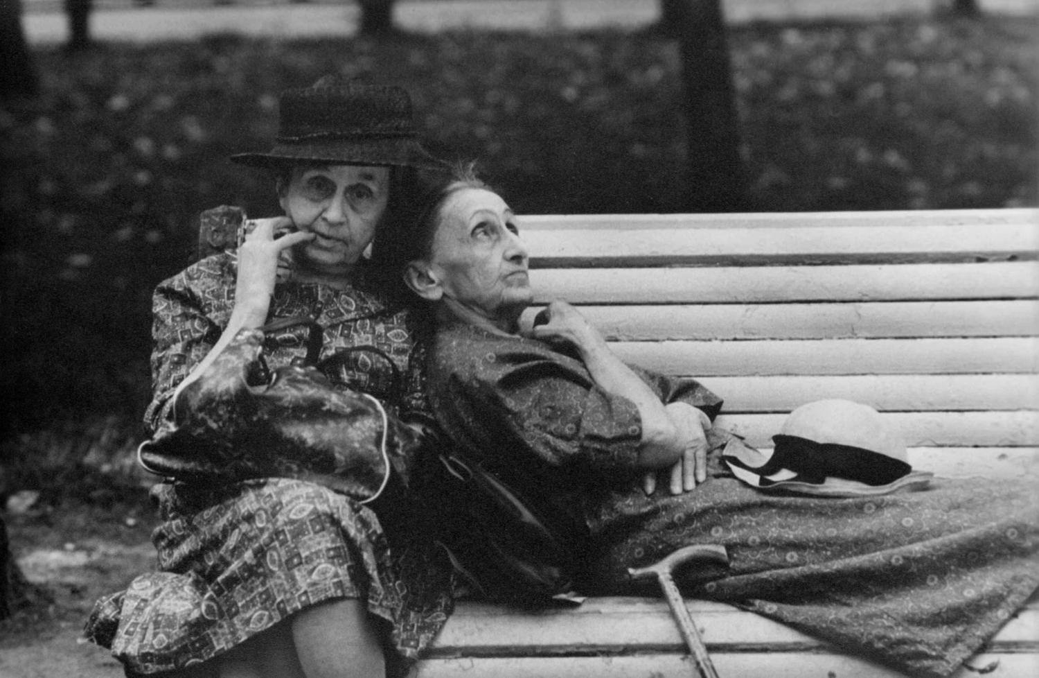 Андрей Князев, «Скамейка юности»