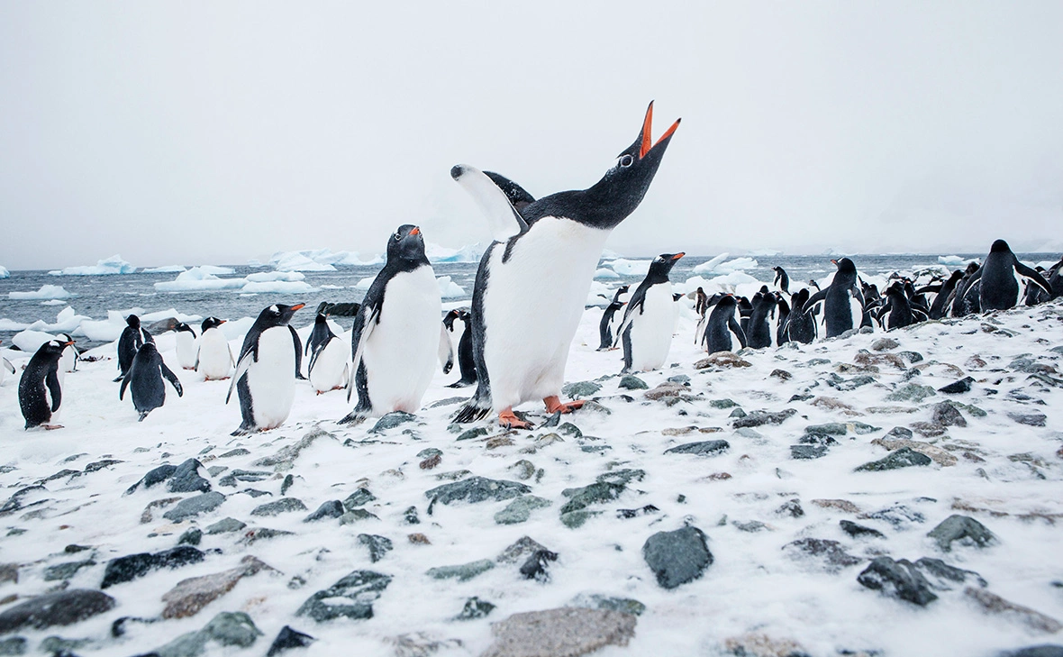 Christian Vorhofer / imagebroker.com / Global Look Press