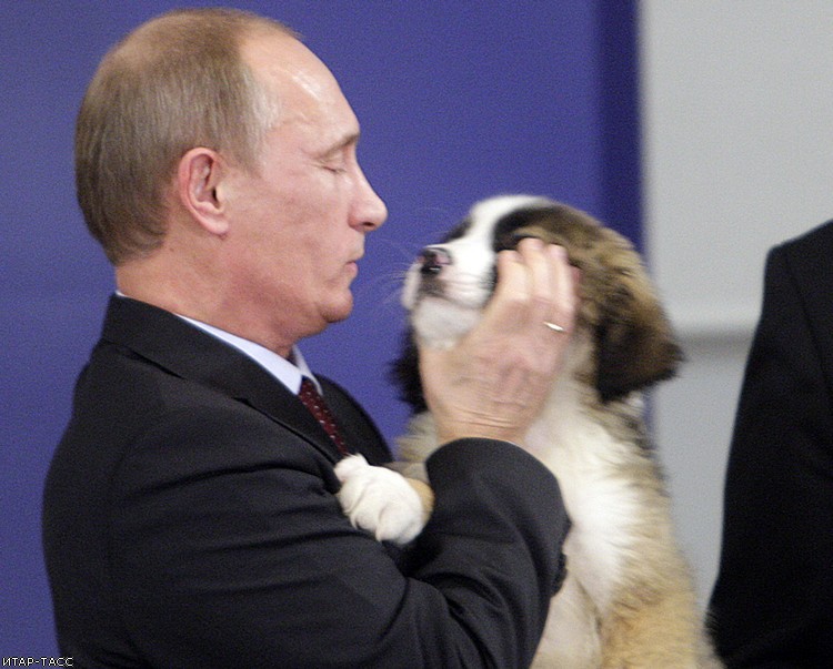 Фото дня: В.Путин и его собаки 