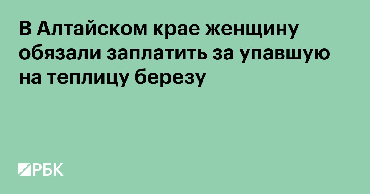 В Алтайском крае женщину обязали заплатить за упавшую на теплицу березу