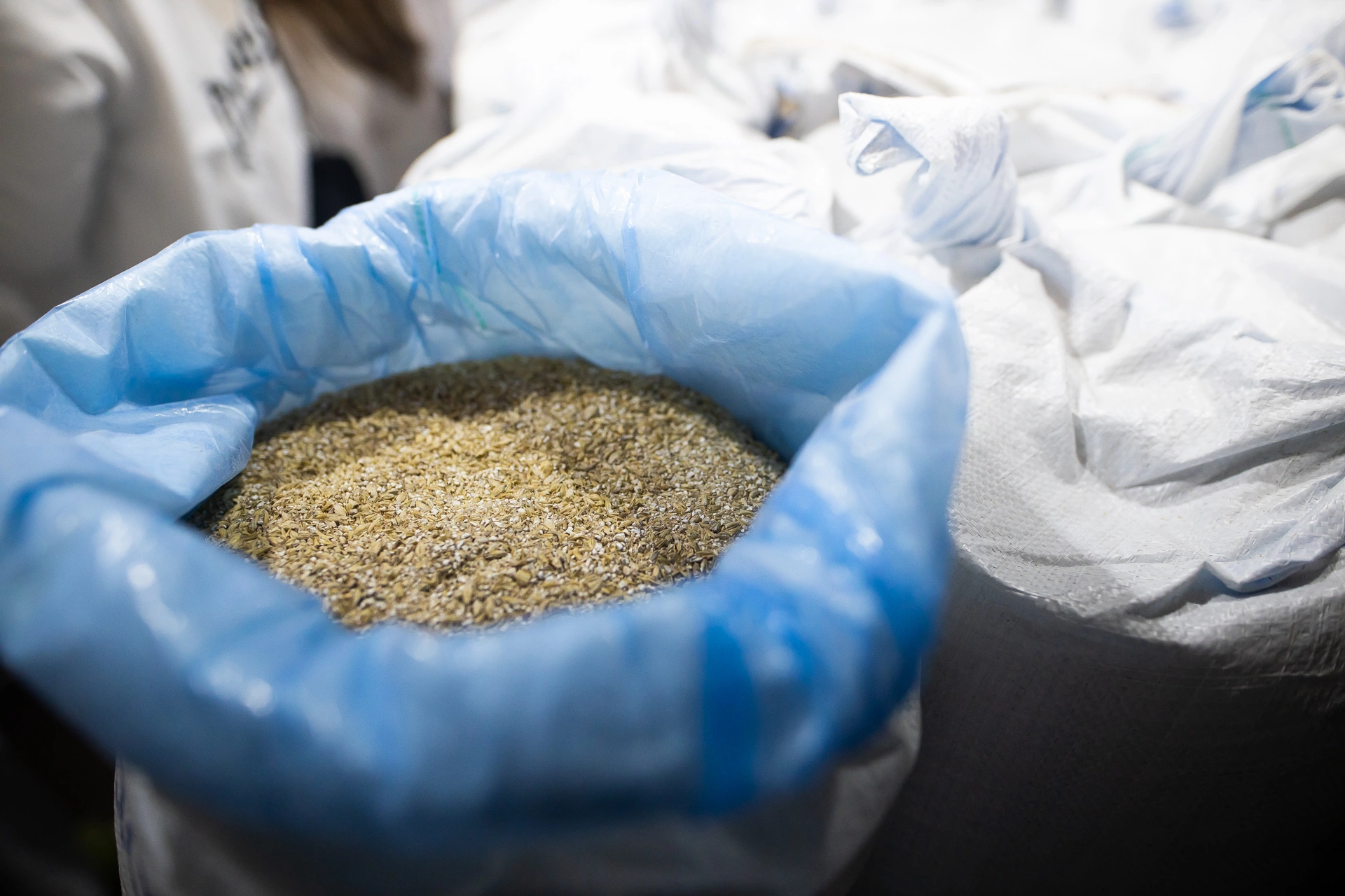 Александр Подгорчук