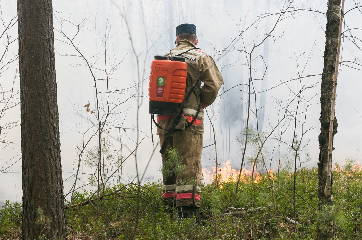Начались пожары: в регионе произошли десятки природных возгораний