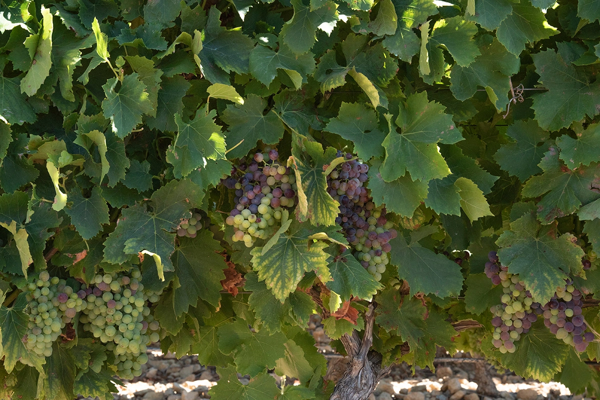 Zuccante Luigi / Shutterstock / FOTODOM
