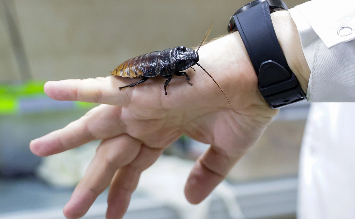 Кирилл Кухмарь / ТАСС