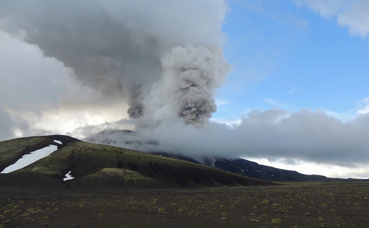 Наталья Акбирова / ФГБУ «Кроноцкий государственный заповедник» / ТАСС