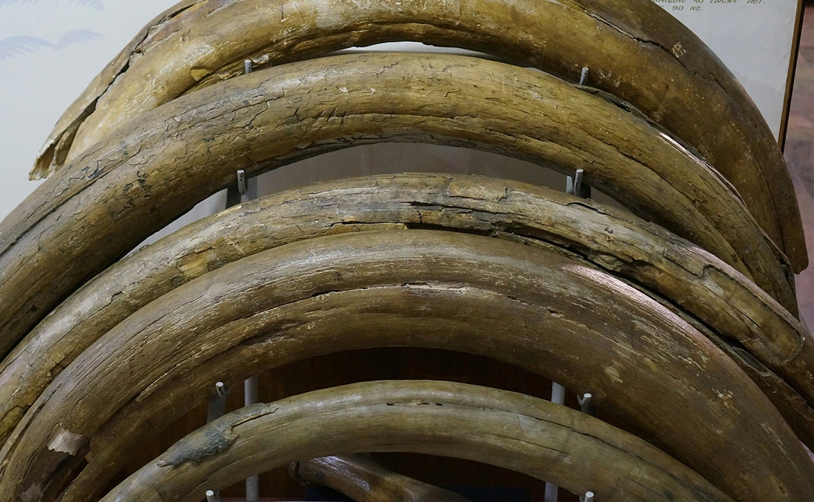 URRaL / Shutterstock