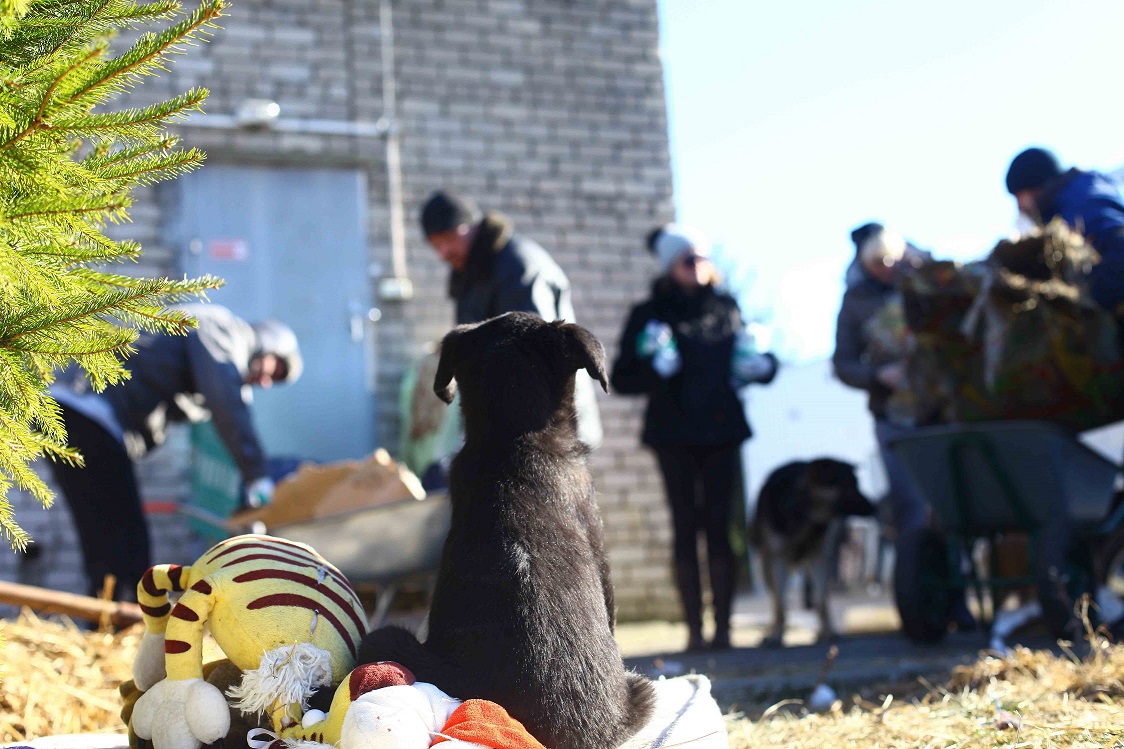 Фото: Александр Подгорчук