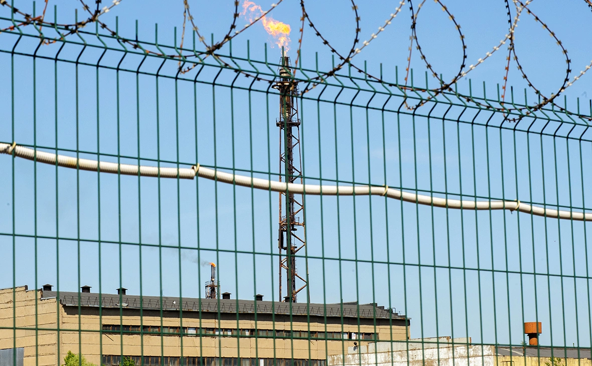 Андрей Бок / РИА Новости