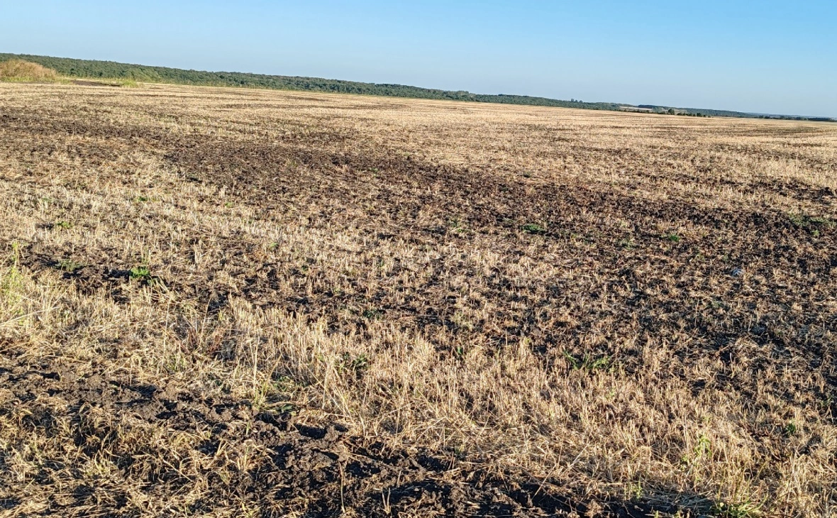 РБК Черноземье