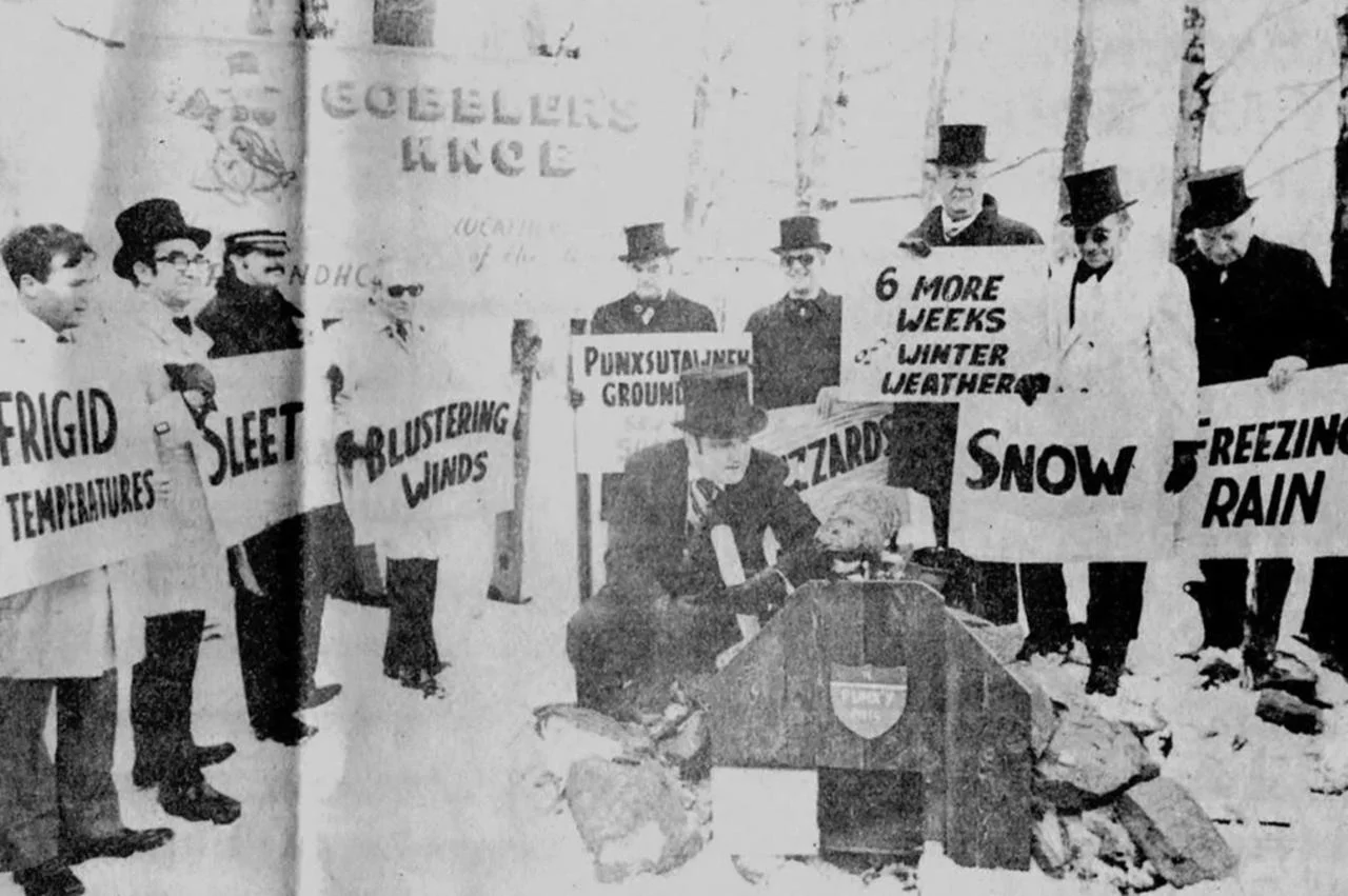 День сурка в Панксатони в 1976 году