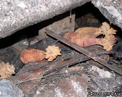 В Ленобласти найден схрон боеприпасов времен войны