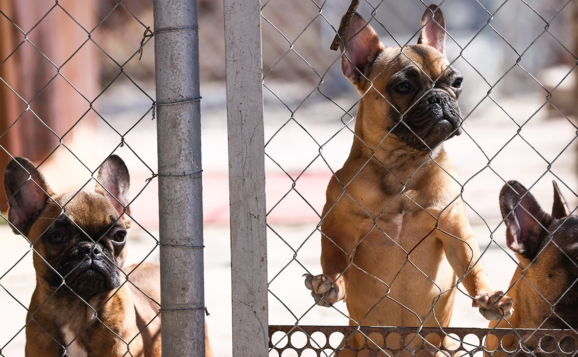 Гавриил Григоров / ТАСС