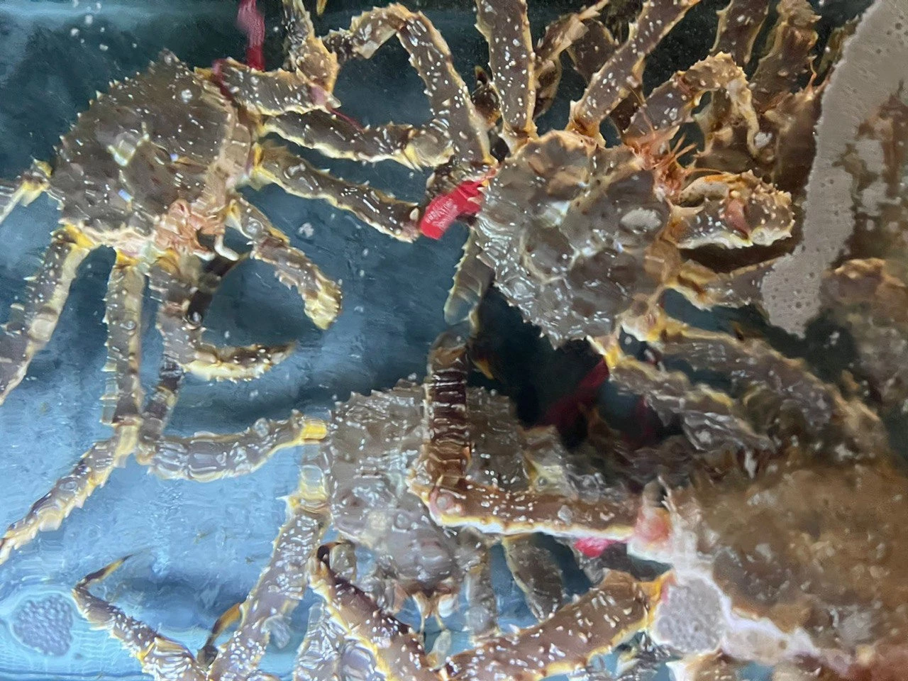 РБК Приморье