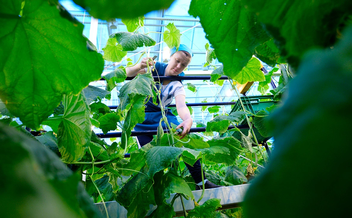 Павел Лисицын / РИА Новости