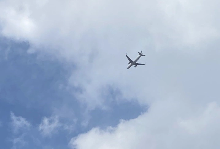 Надежда Будрина