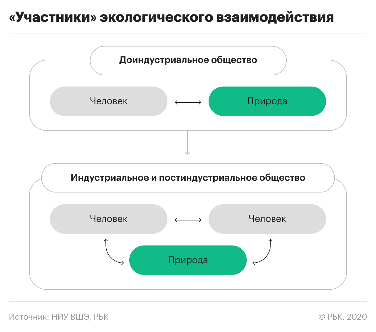 Мир вокруг нас: экологическое образование в школах разных стран