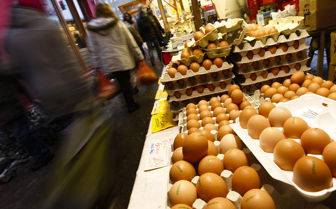 Россельхознадзор приостановил поставки яиц из Нидерландов и Чехии