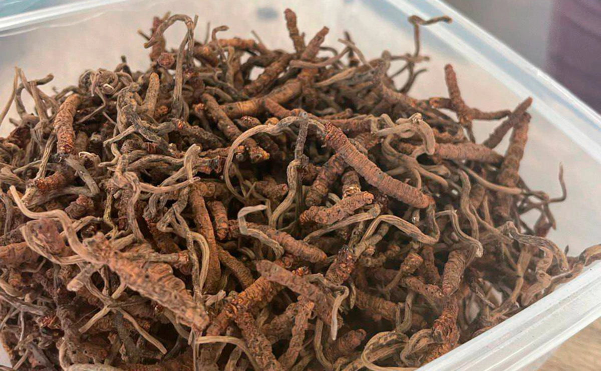 customs_rf / Telegram