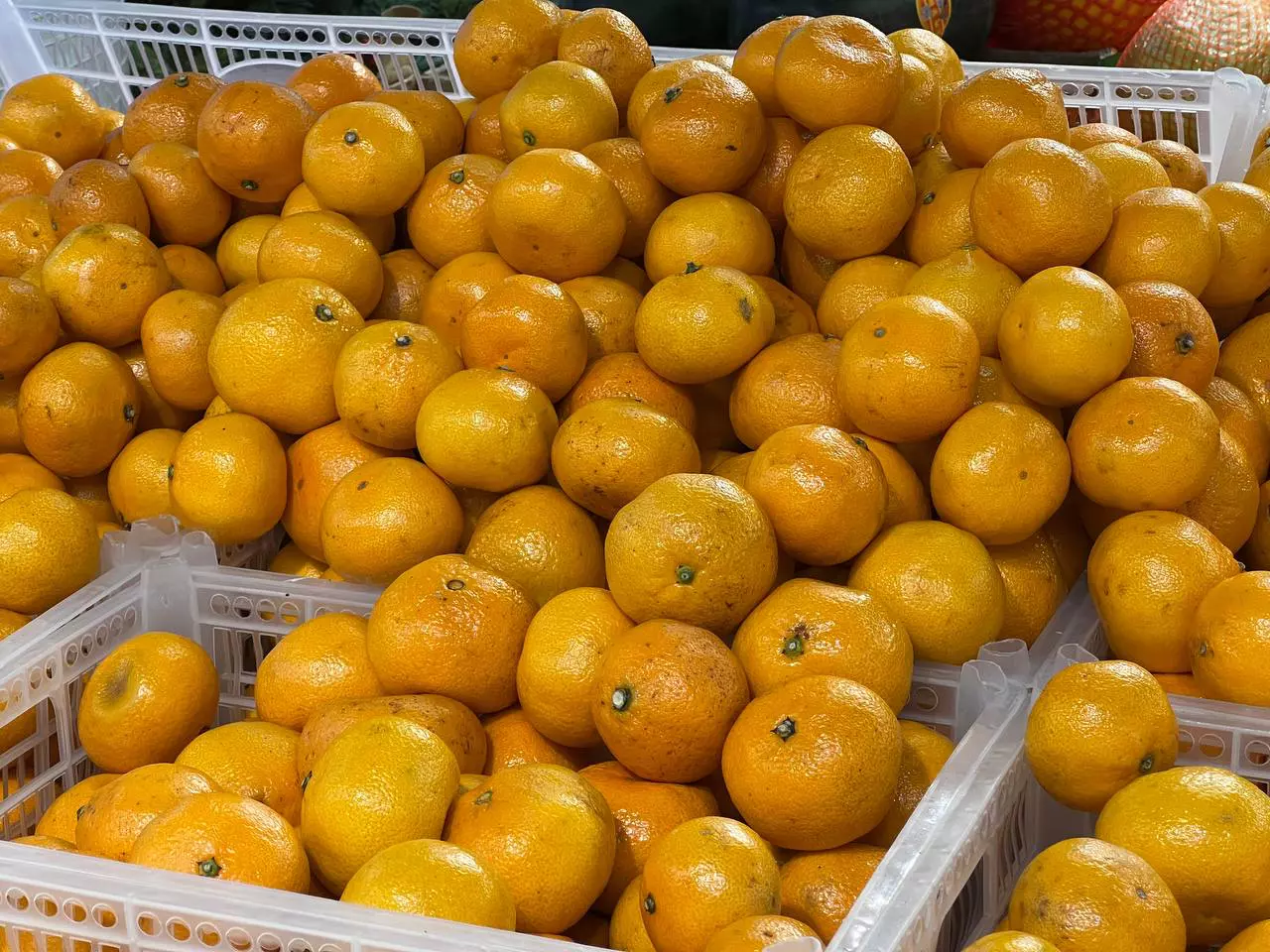 РБК Приморье