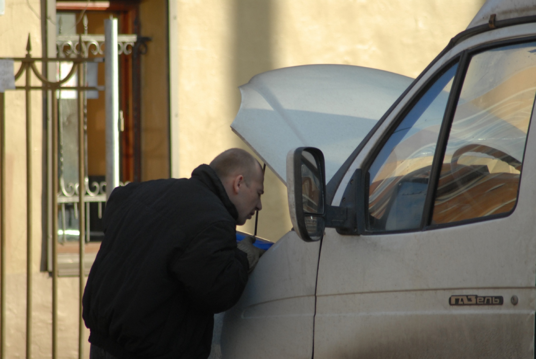 Фото: PhotoXPress.ru