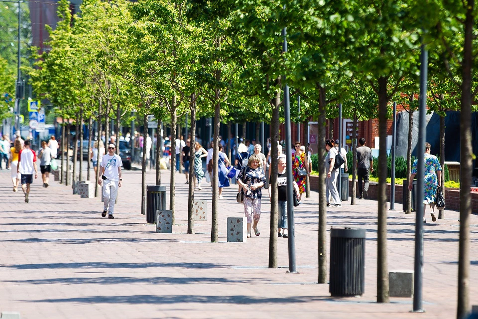 Александр Подгорчук