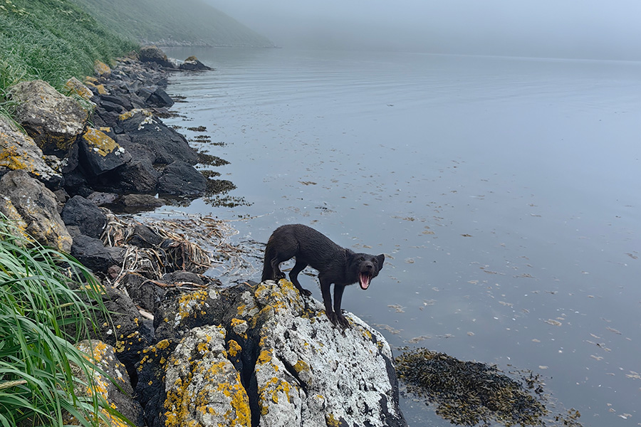 Фото: Семён Галыга