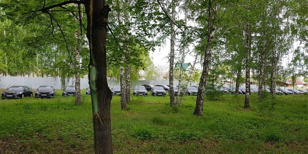 Более 50 новых Toyota Camry случайно нашли в лесу