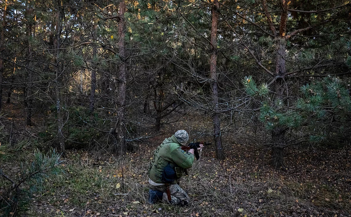 Ed Ram / Getty Images