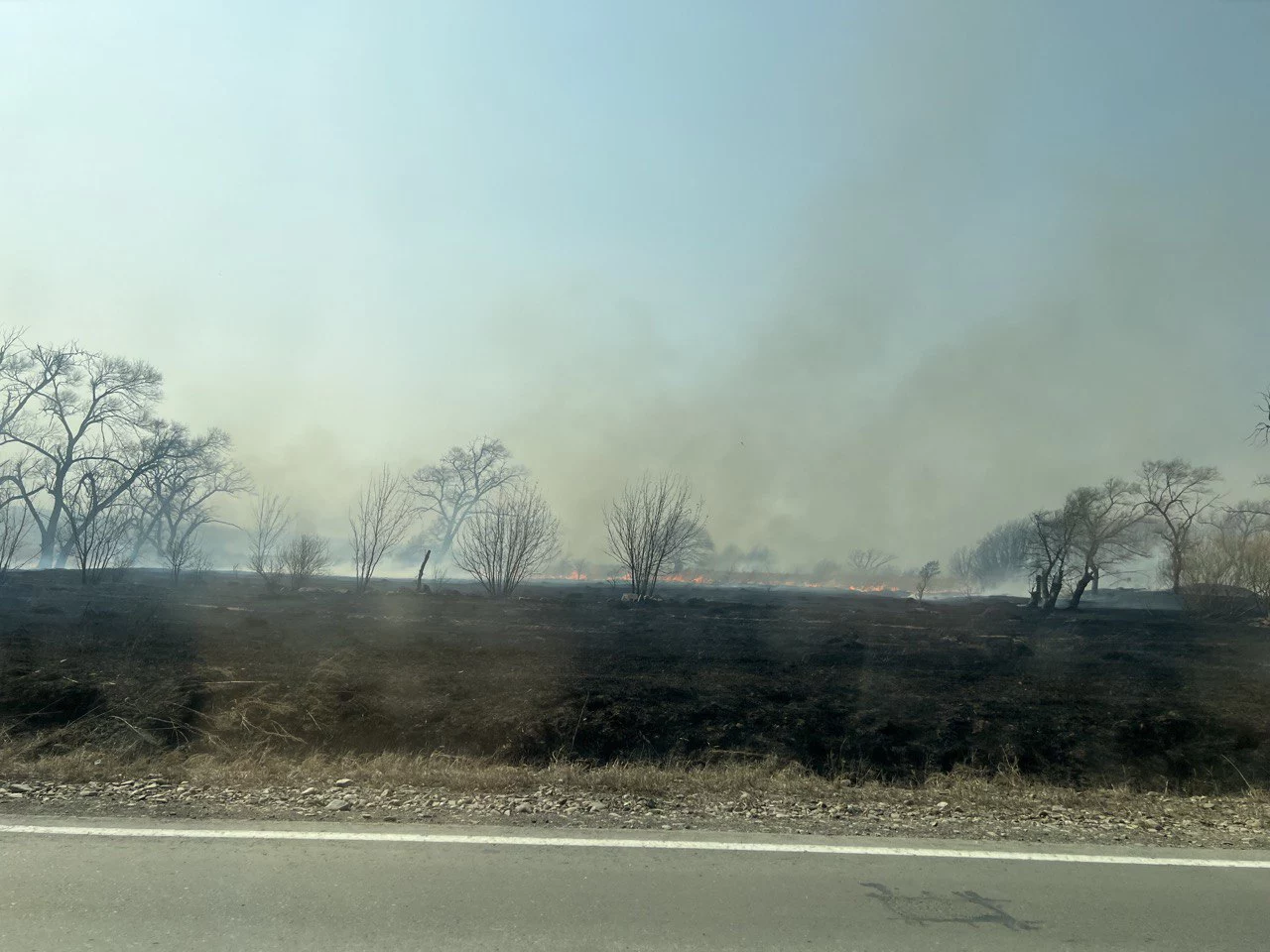 РБК Приморье