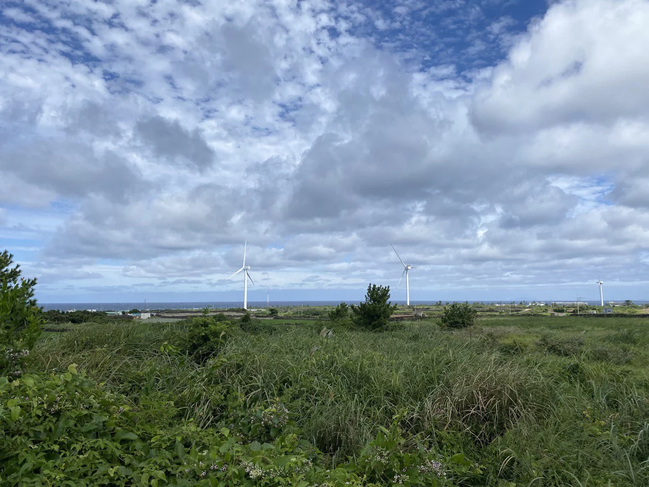 РБК Приморье