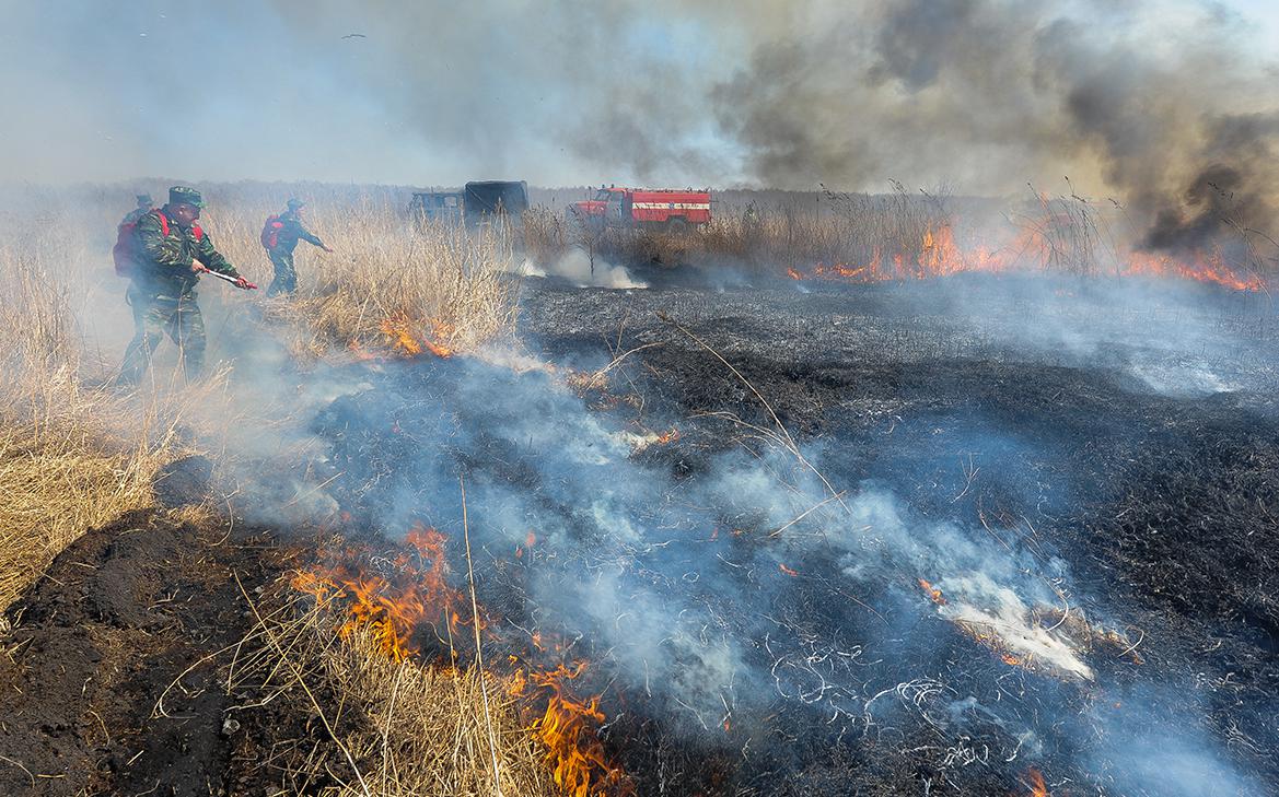 Абрамченко назвала регионы, где будет наивысший класс пожарной опасности