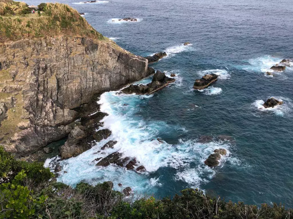 РБК Приморье