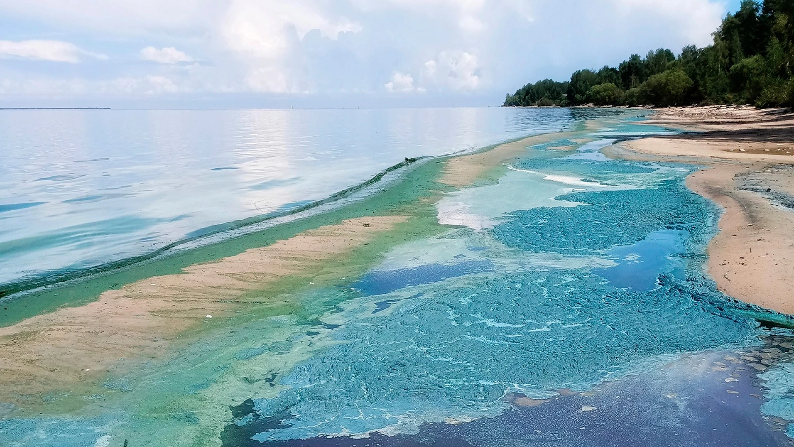 Рыбинское водохранилище