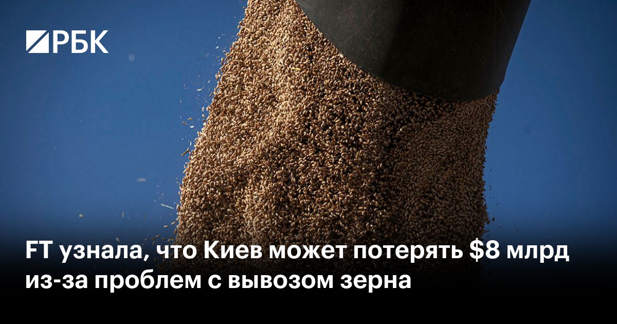 FT узнала, что Киев может потерять $8 млрд из-за проблем с вывозом зерна
