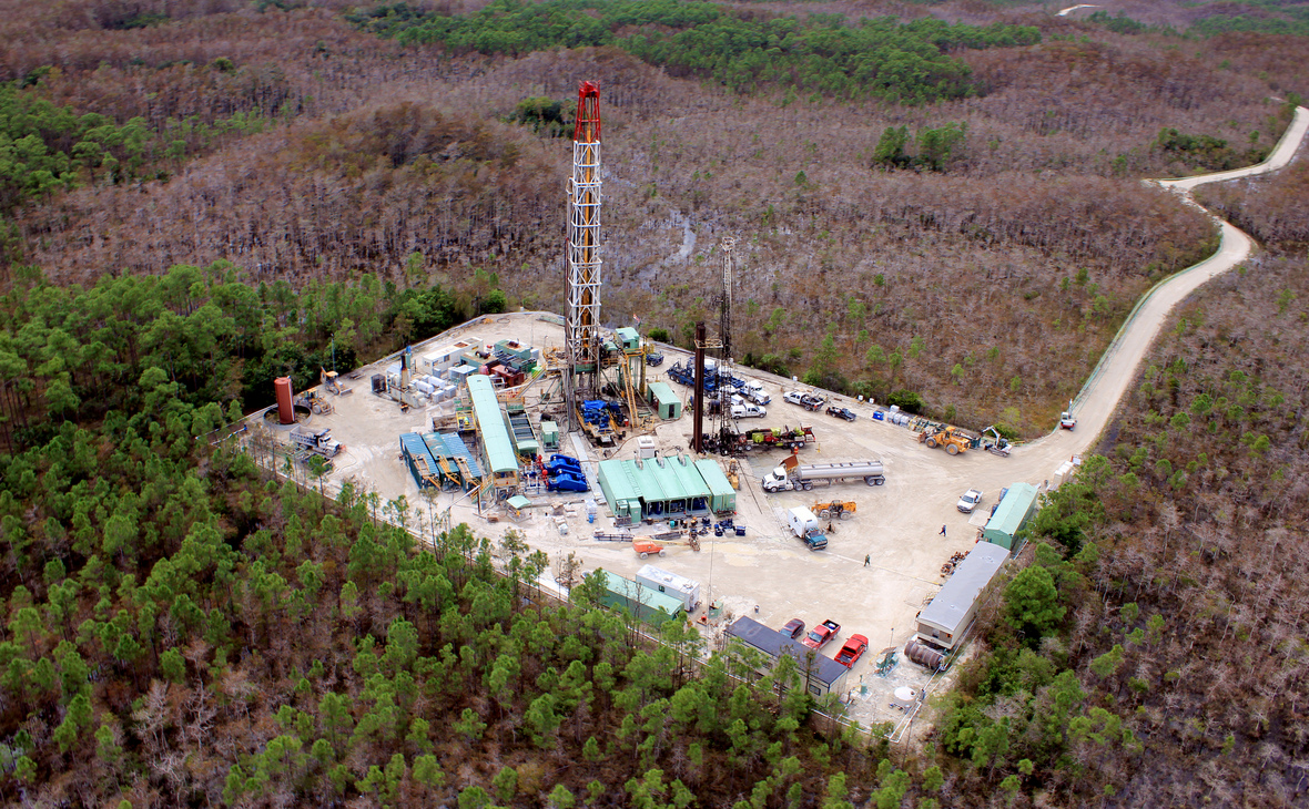 Фото: пользователя Big Cypress National Preserve с сайта flickr.com