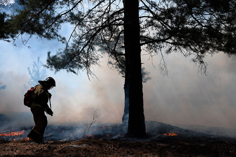 Всего в России к 7 мая действовало&nbsp;57 лесных пожаров на площади более 45 тыс. га