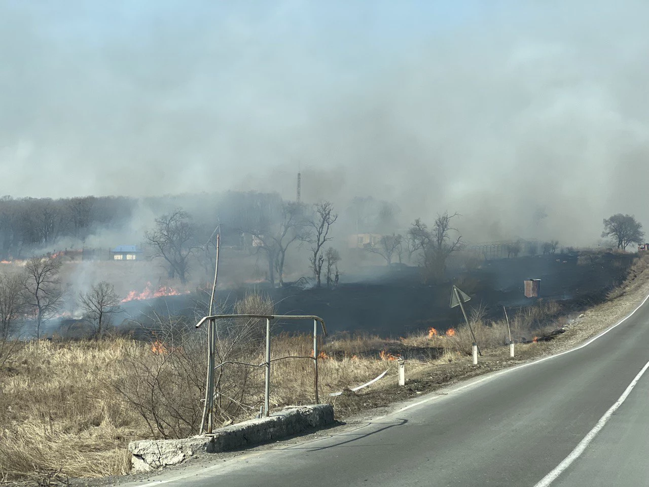 РБК Приморье