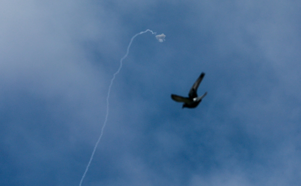 Ammar Awad / Reuters