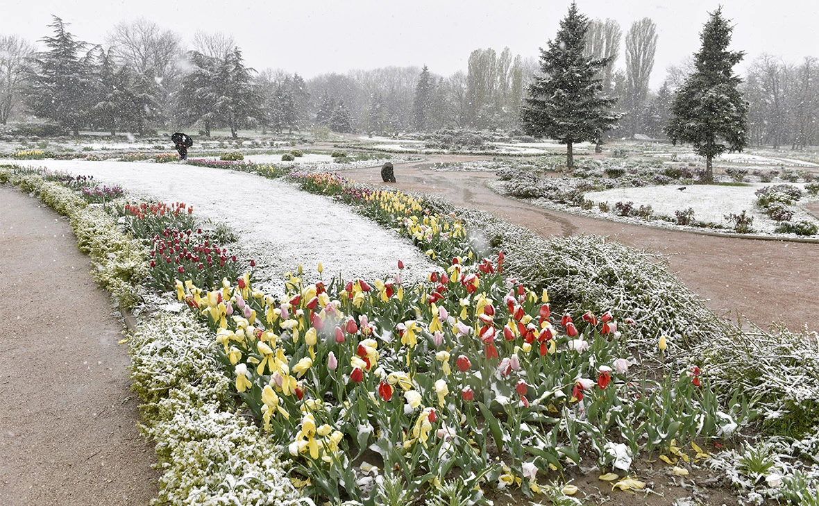 Александр Полегенько / РИА Новости