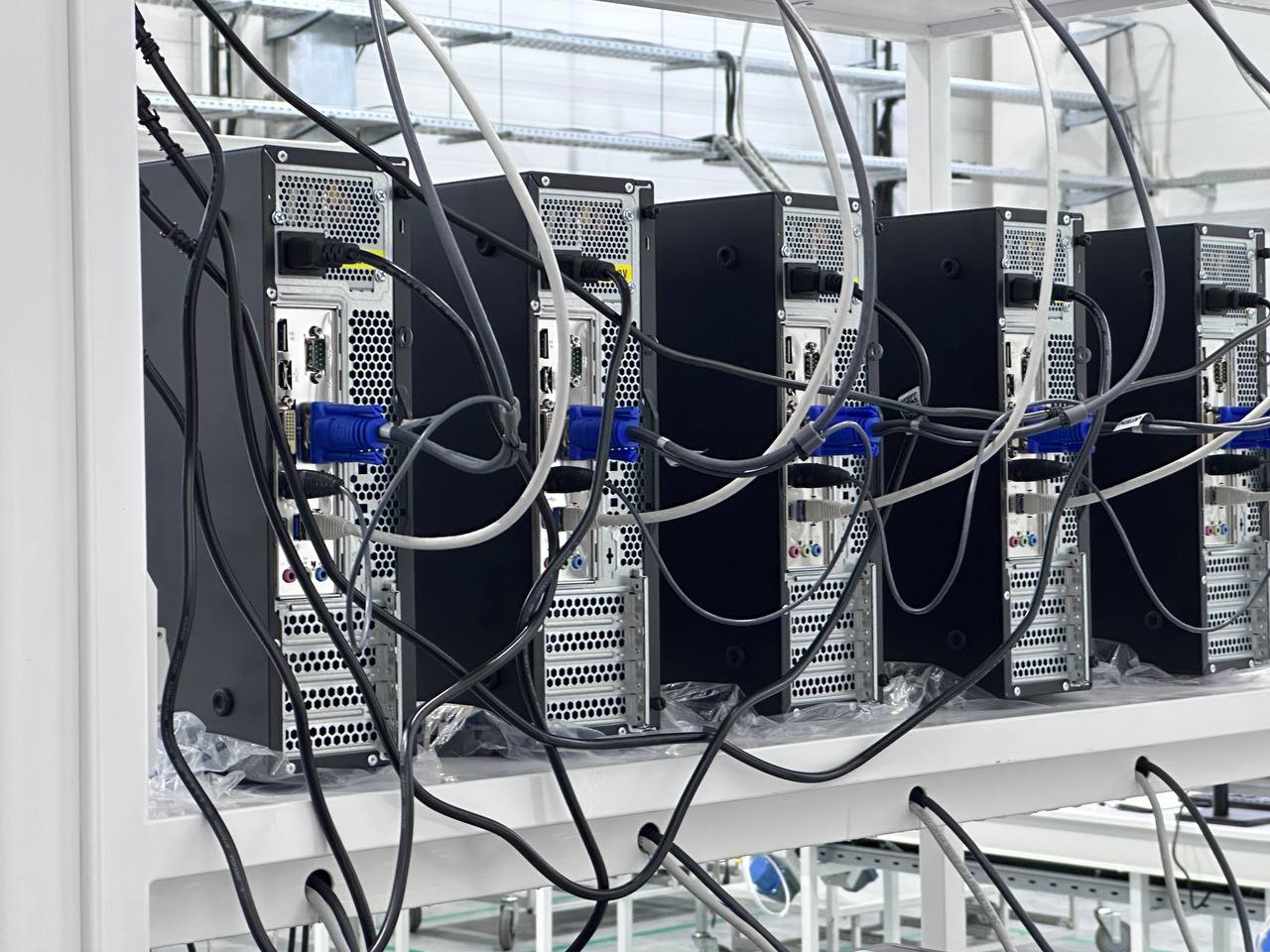 Фото: РБК Татарстан