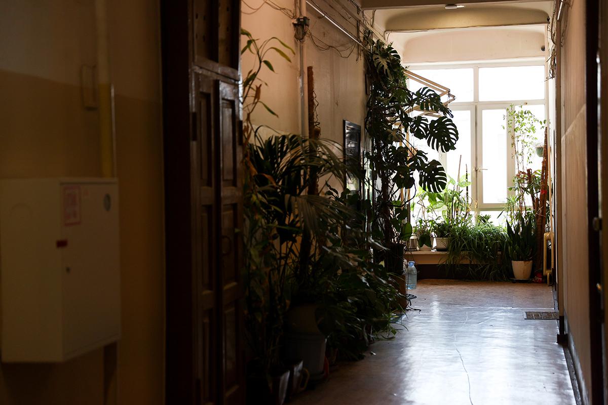 Москва выставила на торги квартиру в дореволюционном «тучерезе»