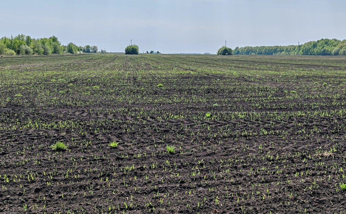 РБК Черноземье