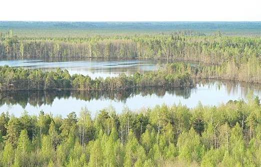 Фото: Нижегородская правда