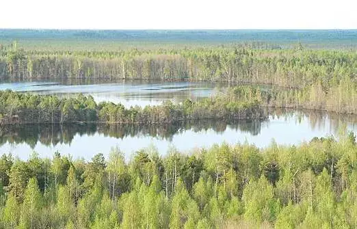 Нижегородская правда