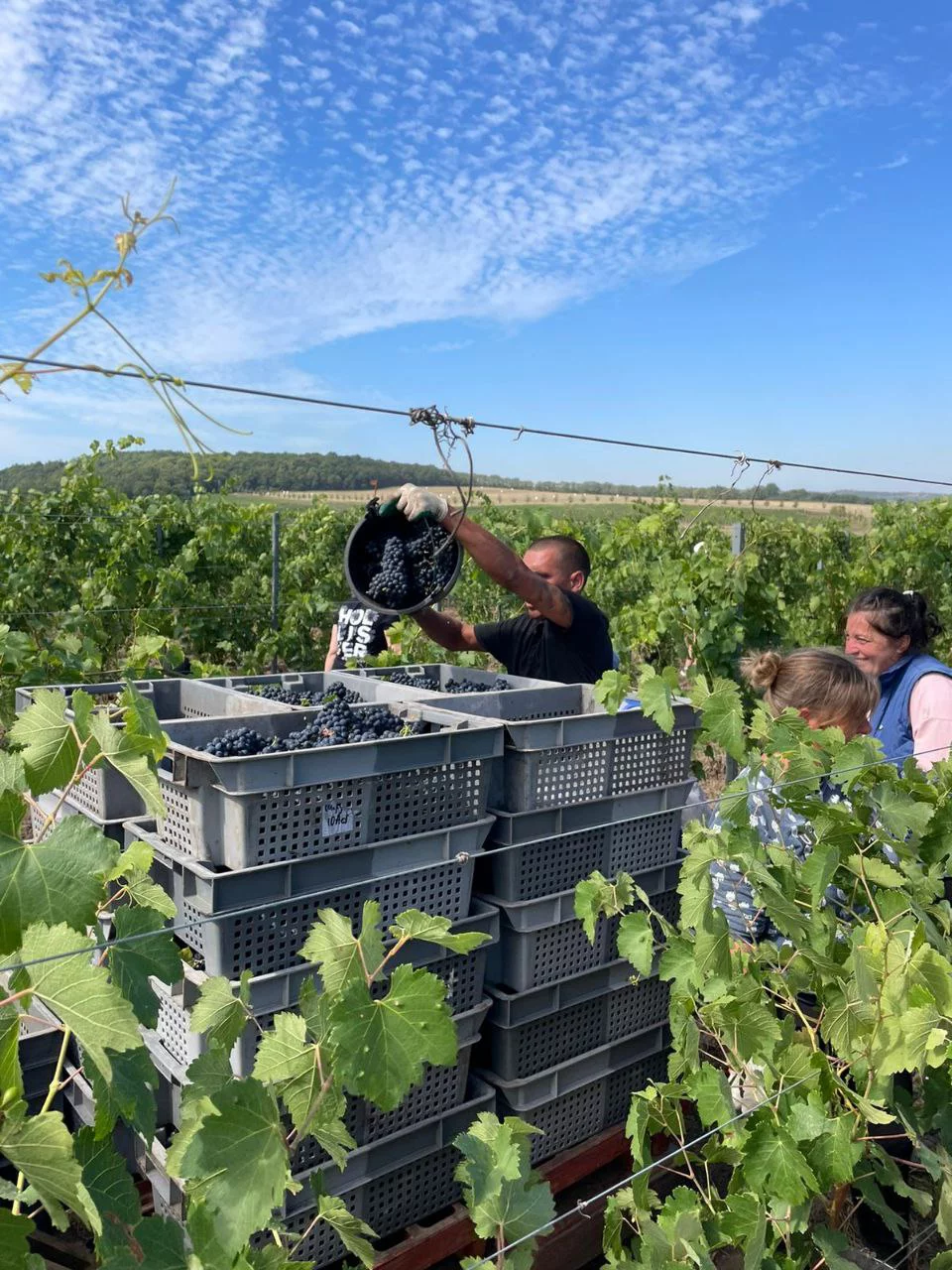 РБК Санкт-Петербург