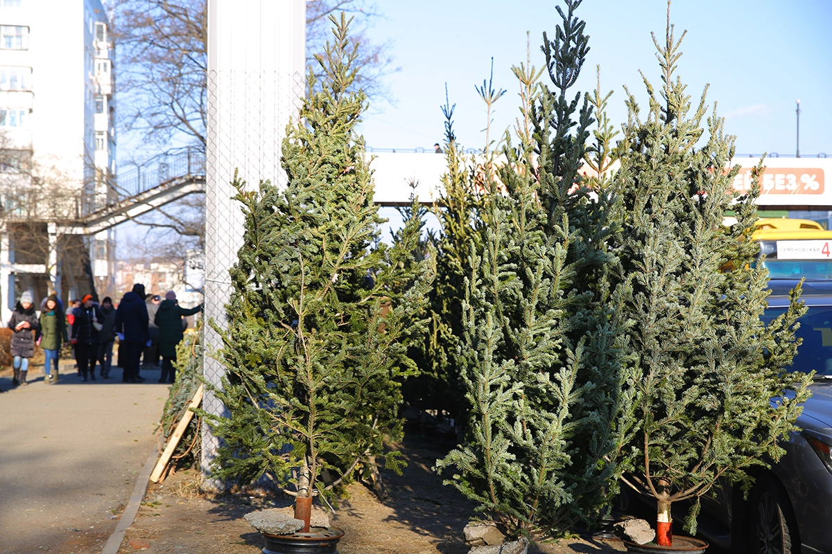 пресс-служба администрации Владивостока