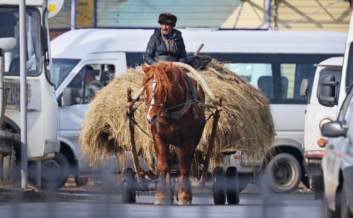 Владимир Смирнов / ТАСС