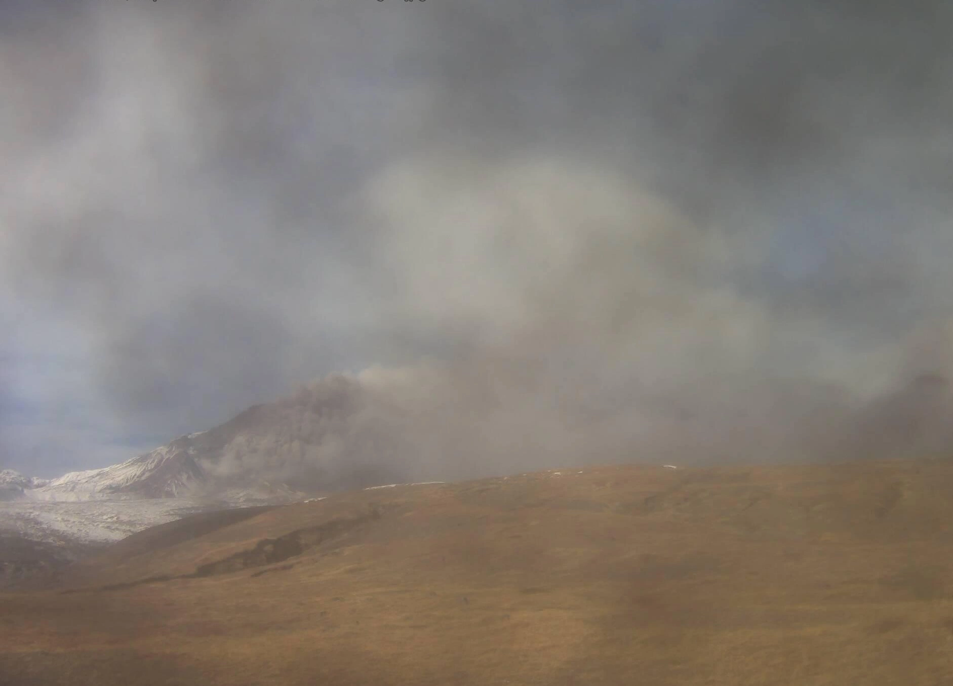 ИВиС ДВО РАН