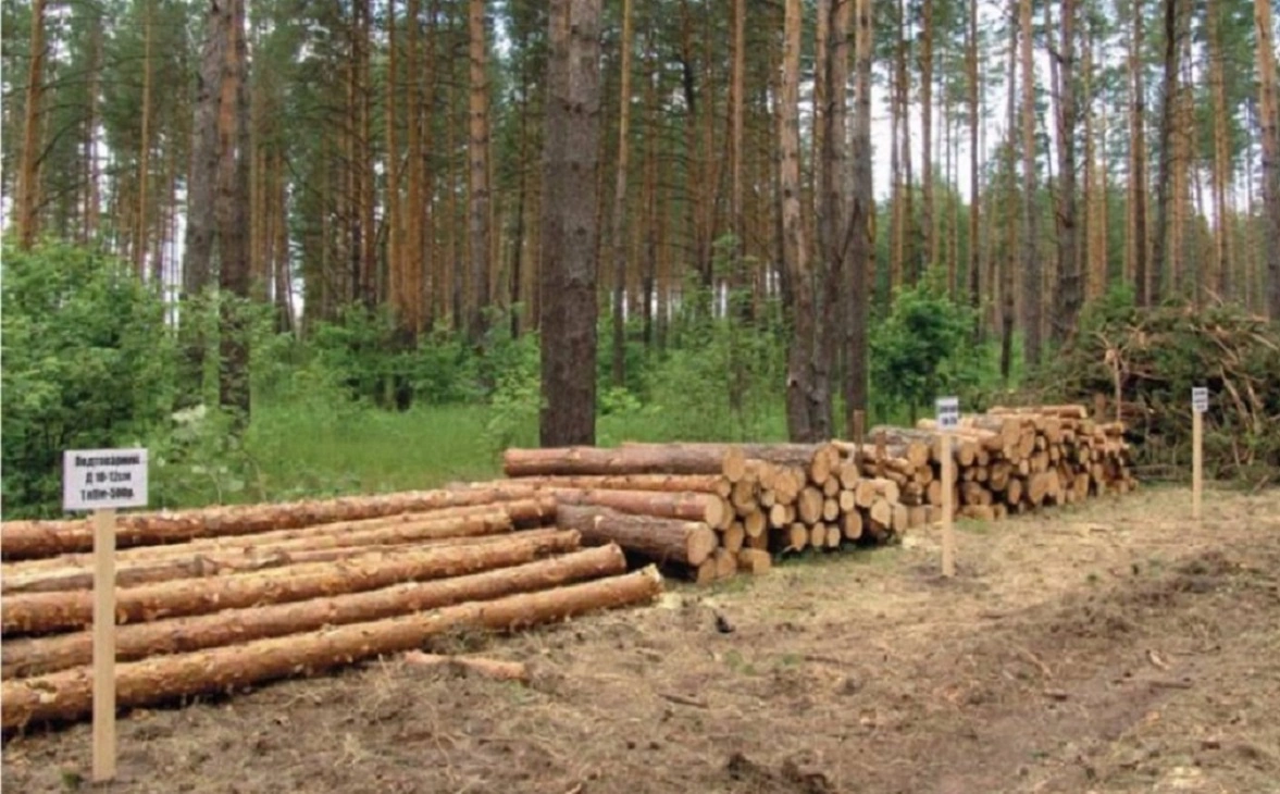 Минлесхоз РБ