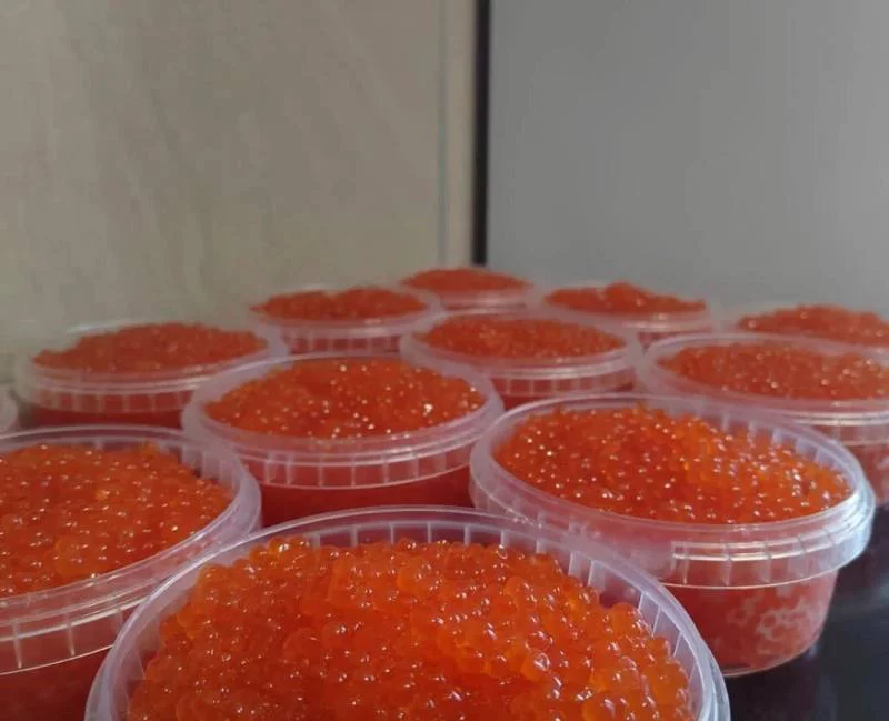 РБК Приморье